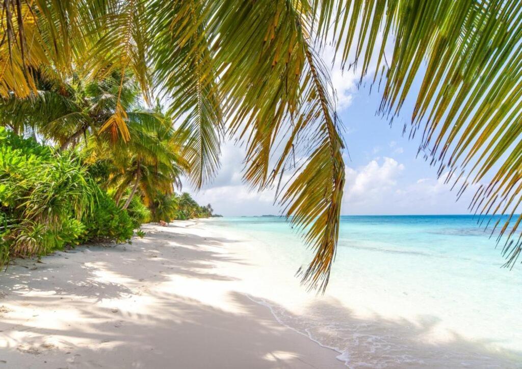 Hotel Unwind Dhigurah Dhigurah  Zewnętrze zdjęcie