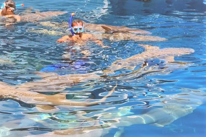 Hotel Unwind Dhigurah Dhigurah  Zewnętrze zdjęcie