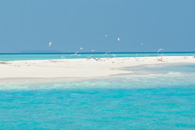 Hotel Unwind Dhigurah Dhigurah  Zewnętrze zdjęcie