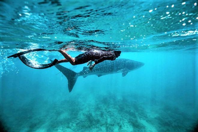 Hotel Unwind Dhigurah Dhigurah  Zewnętrze zdjęcie